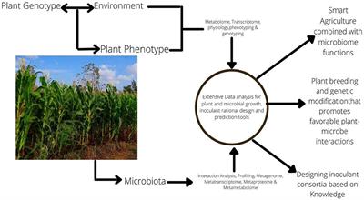 Rhizospheric microorganisms: The gateway to a sustainable plant health